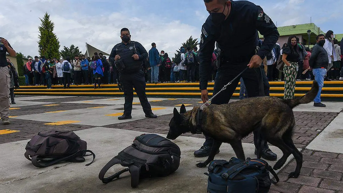 K9-BINOMIOS CANINOS-cuartoscuro (3)